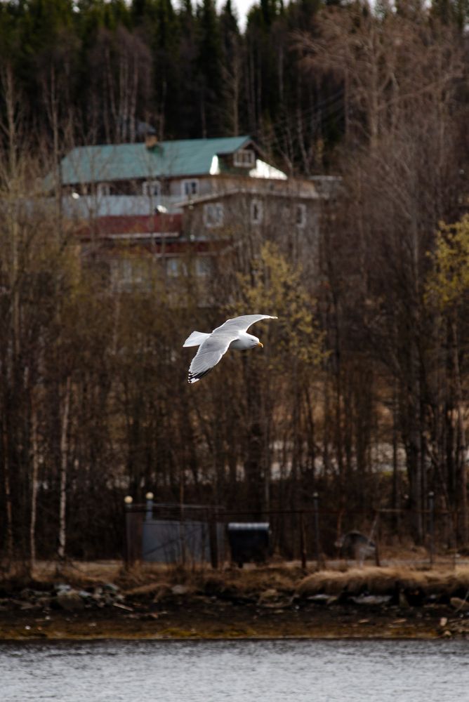 Photo #13700641