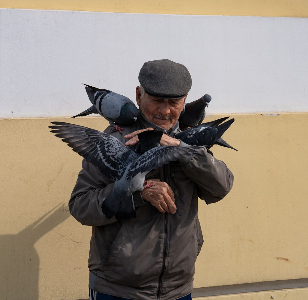 Photograph by Константин Яковлев