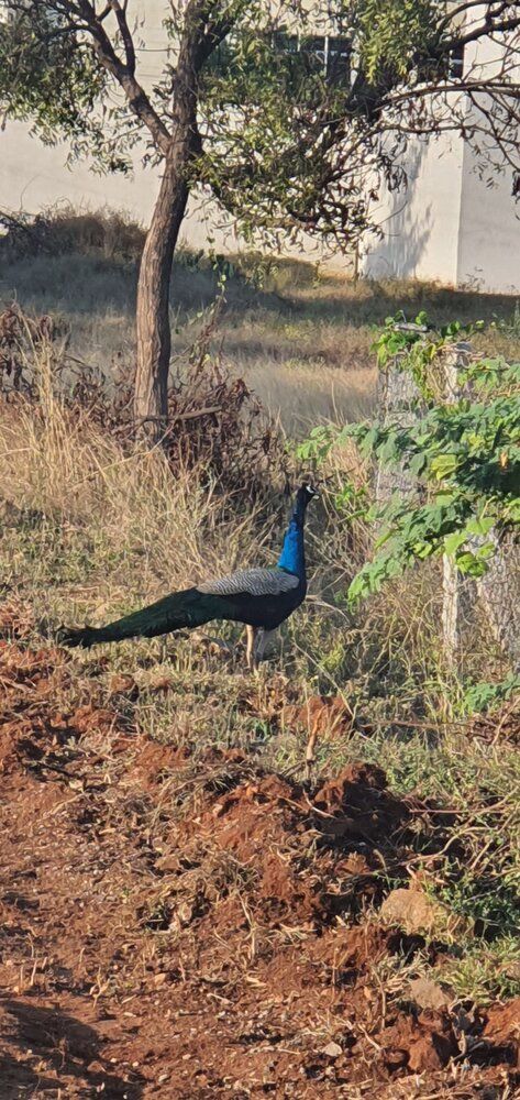 Photograph by SANDEEP SAGAR KOLA