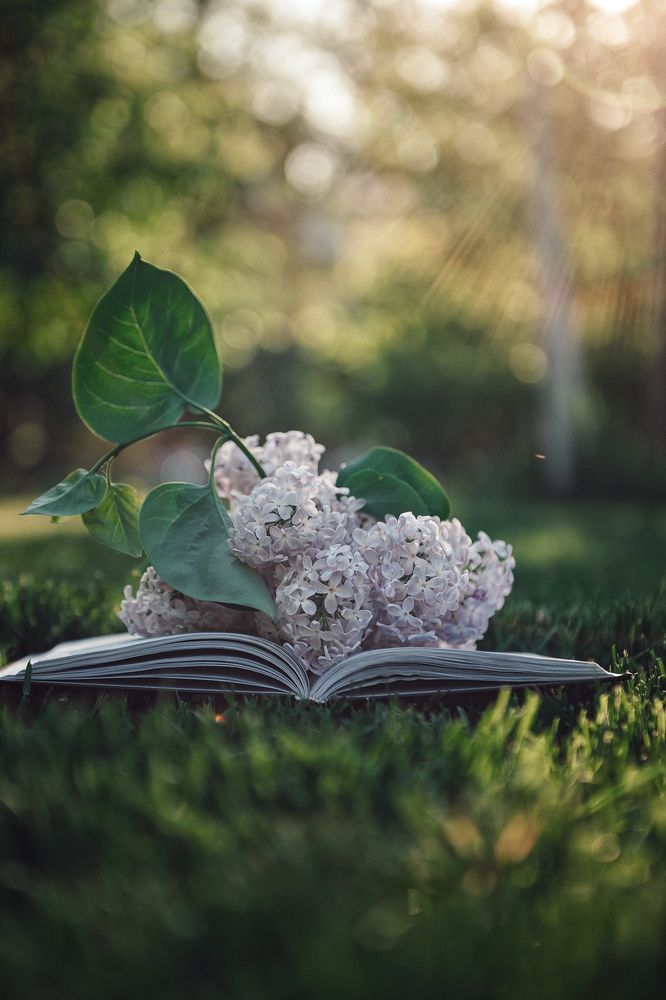 Photograph by Валерия Богатырева