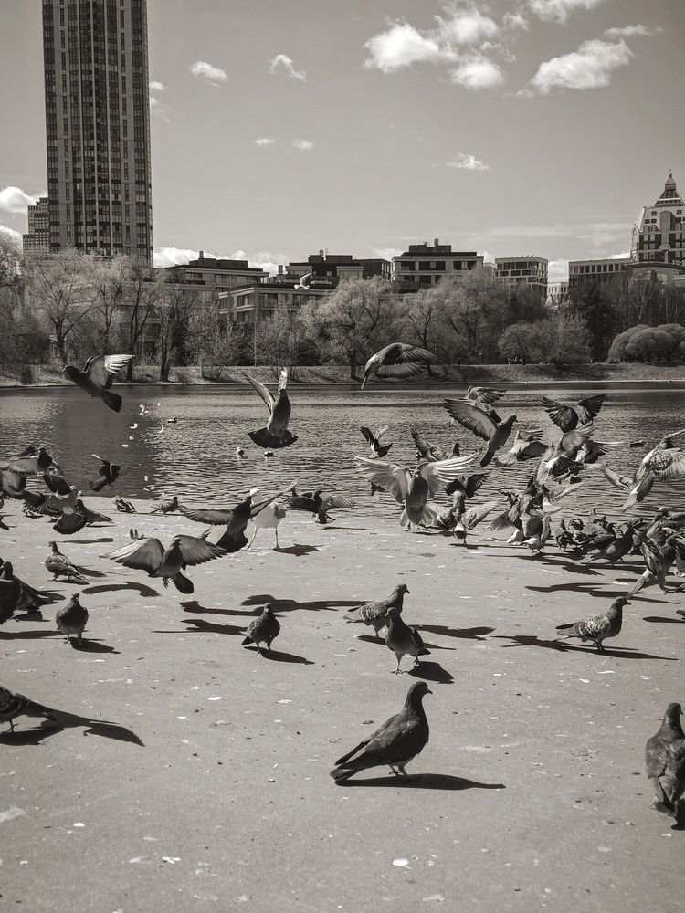 Photo #13700741