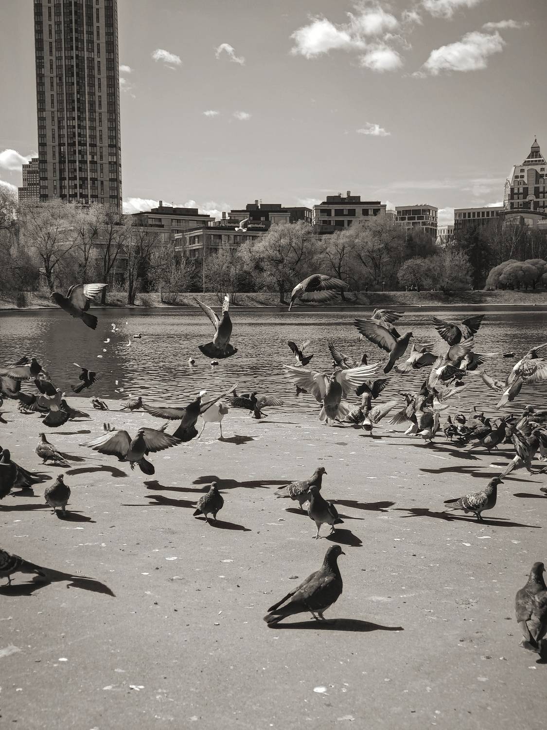 Photo #13700741