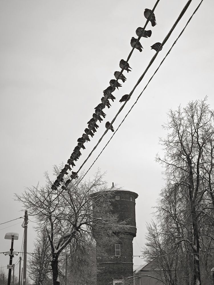 Photo #13700743