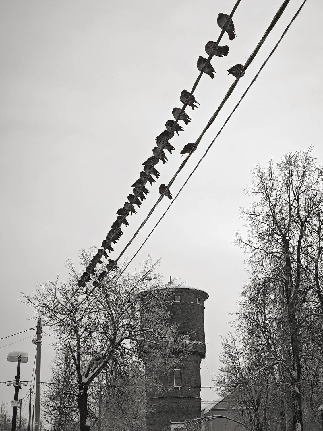 Photo #13700743