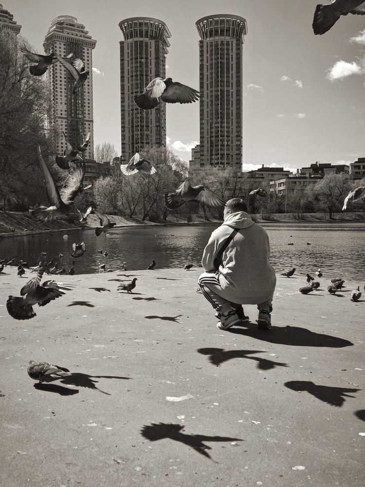 Photo #13700746