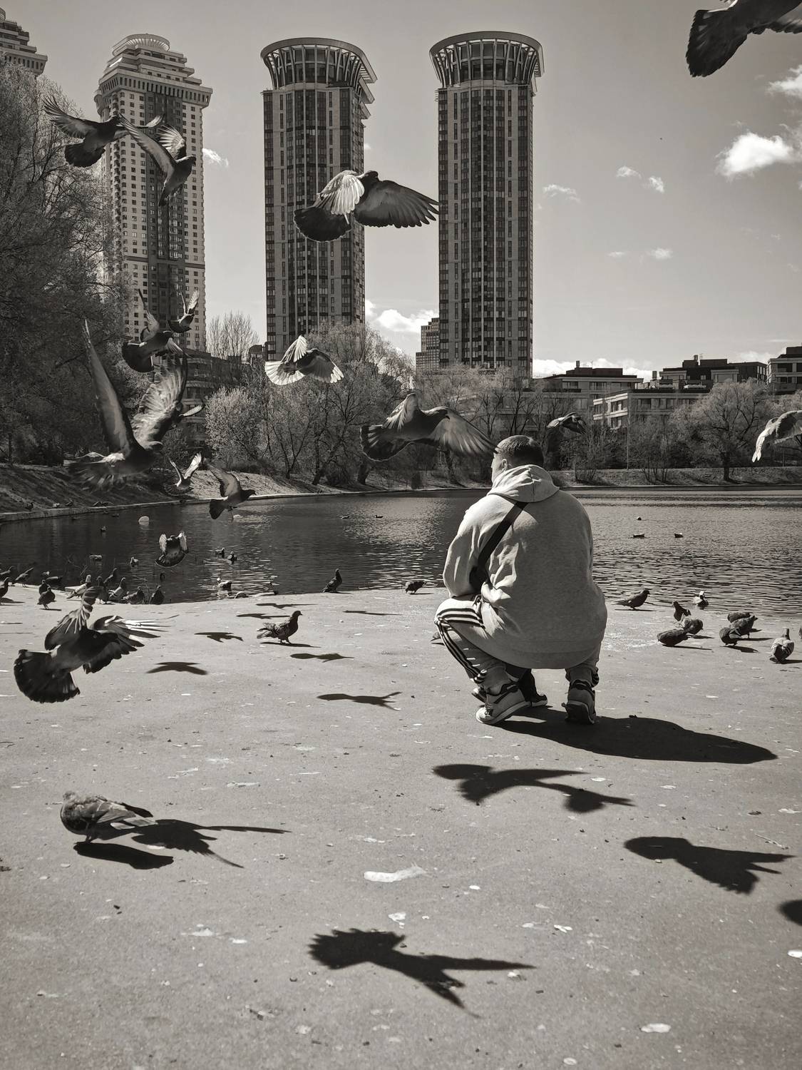 Photo #13700746