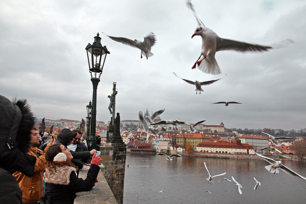 Прага. Prague. Карлов Мост.