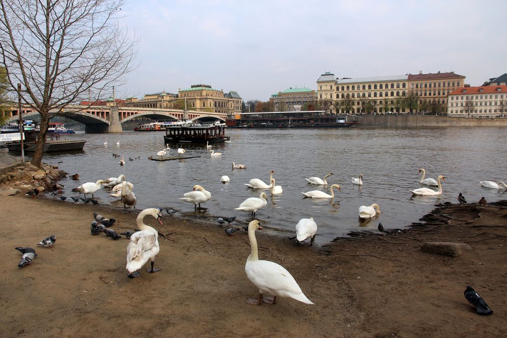 В Праге