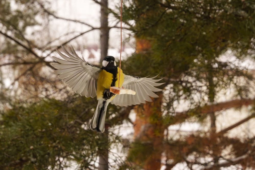 Photograph by Виктор Фельдшеров