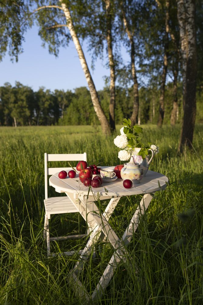 Photo #13700960