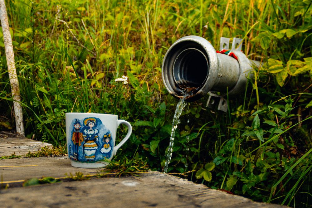 Photograph by Зульфия Вакилова