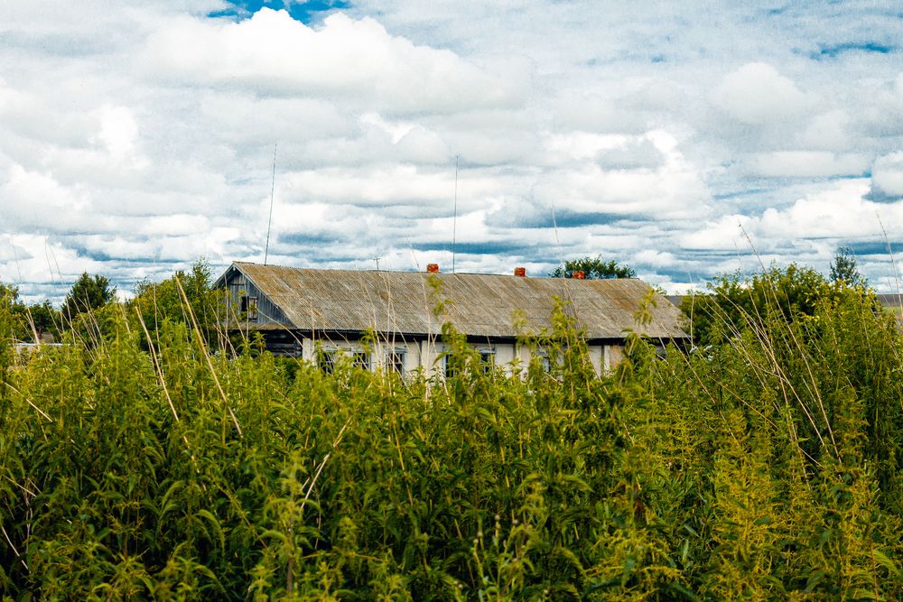 Photograph by Зульфия Вакилова