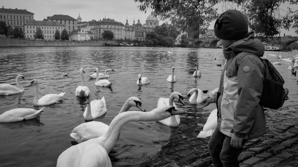 Photograph by Фролов Антон
