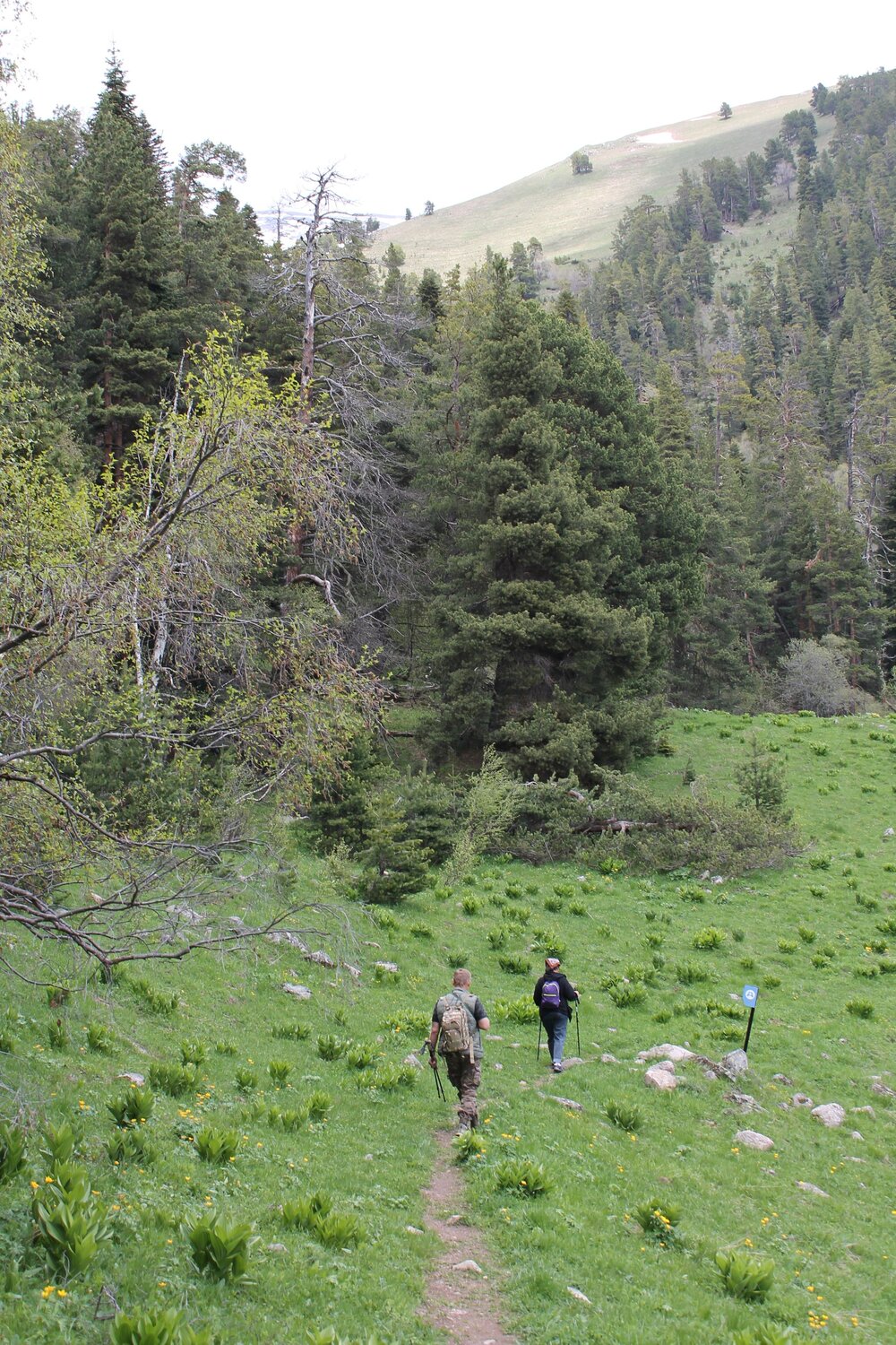 Photo #13701121