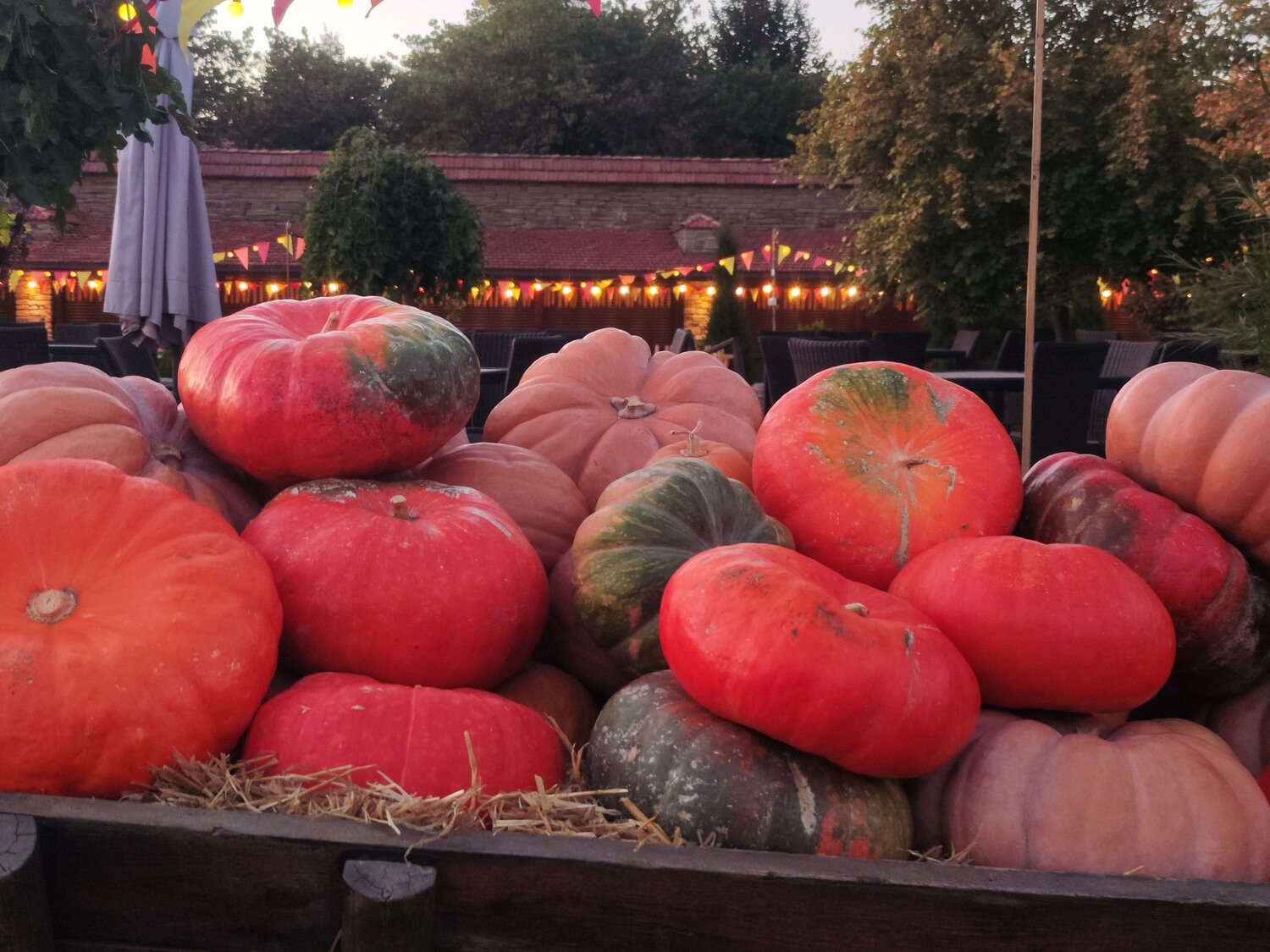 Photo #13701204