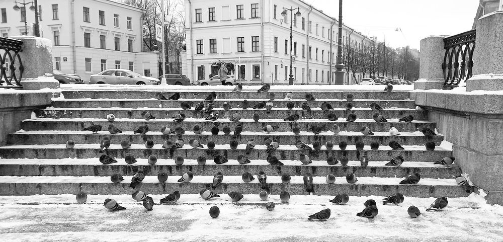 Photograph by Анастасия Останина