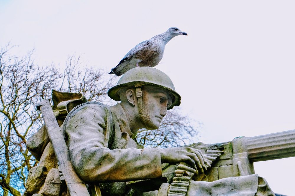 Helping the Army