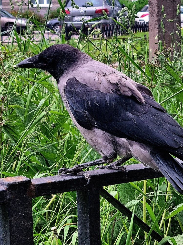 Photograph by Ольга Каковкина