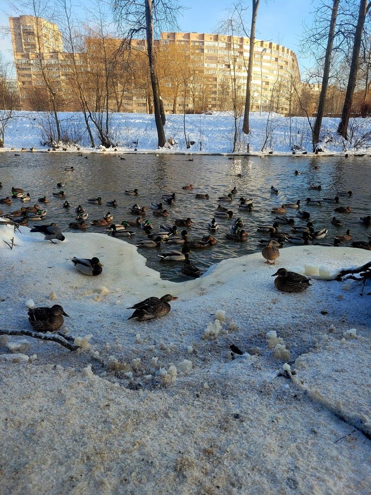 Photograph by Ольга Каковкина