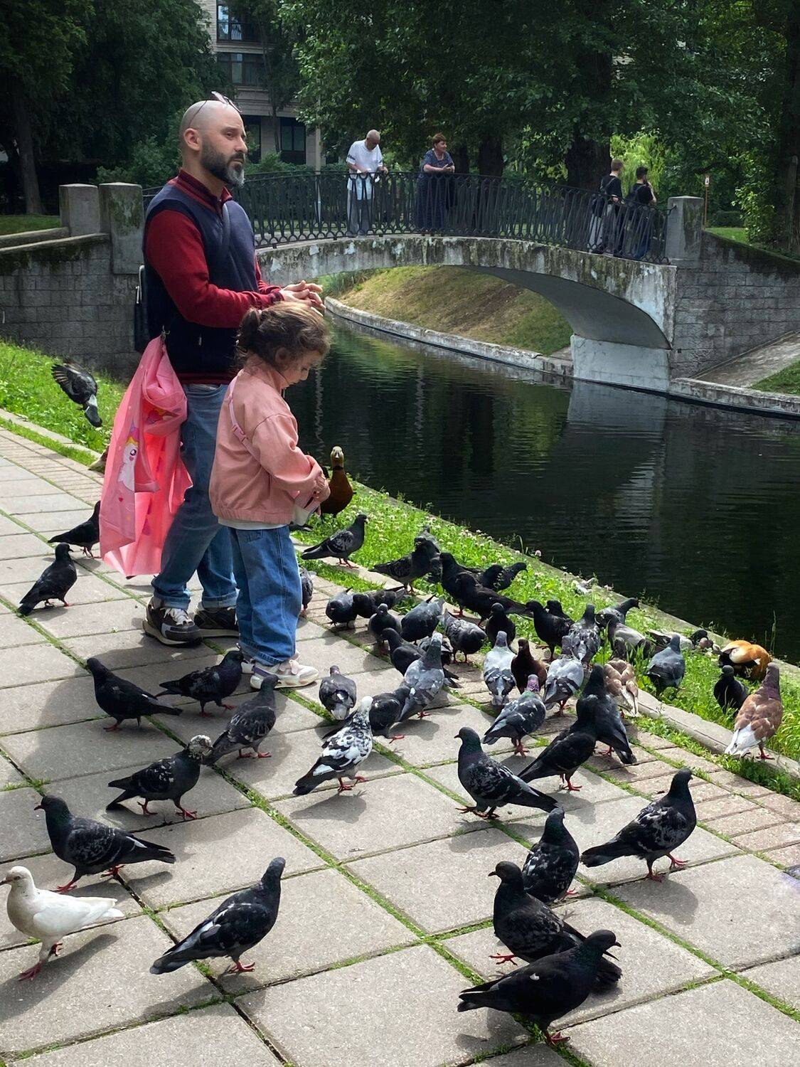 В старом парке
