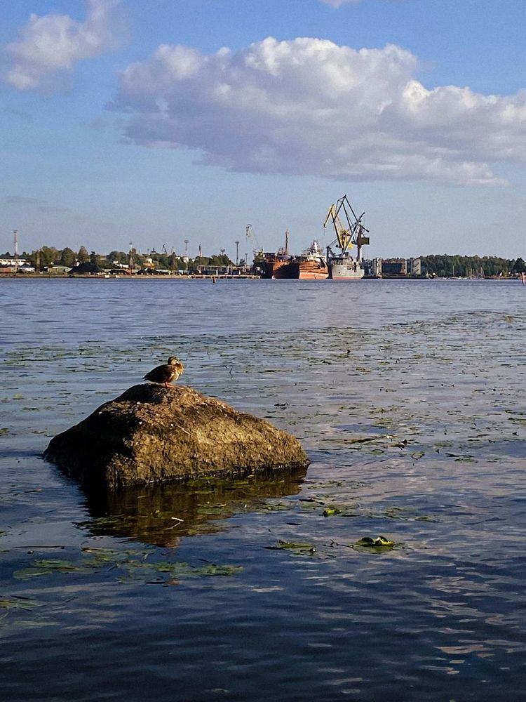 Photograph by Анастасия Гульванюк