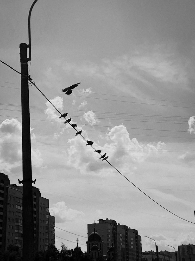 Photograph by Анастасия Гульванюк