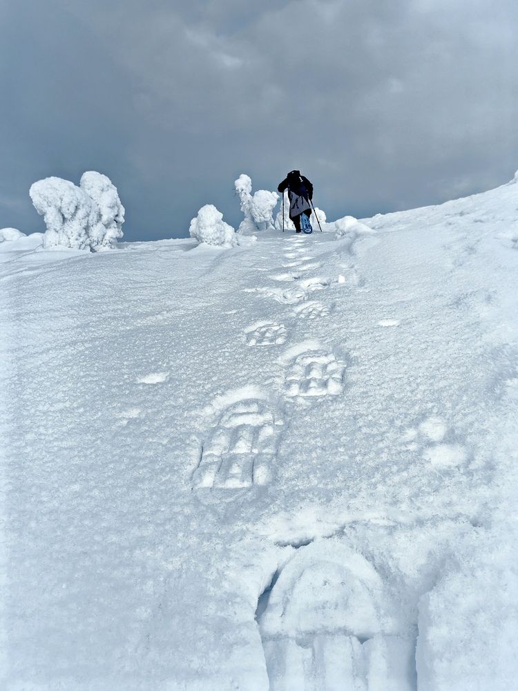 Photograph by OLGA MIKHNEVICH