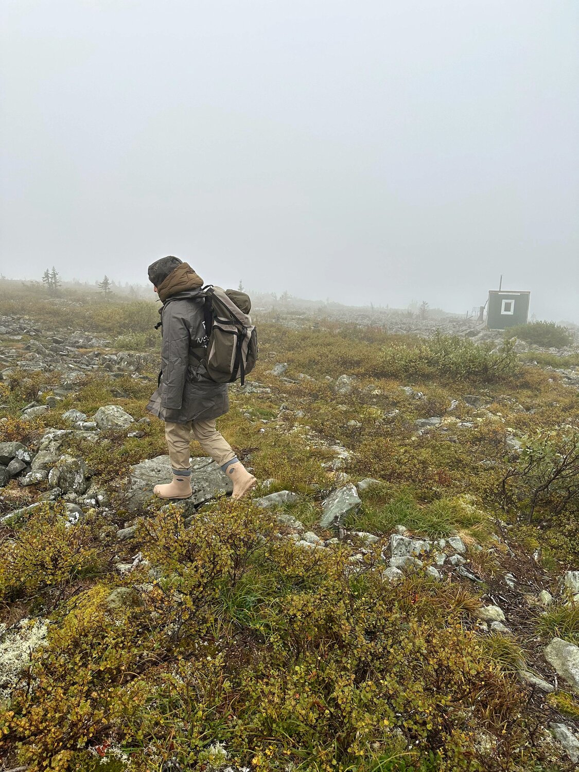 Photo #13701314
