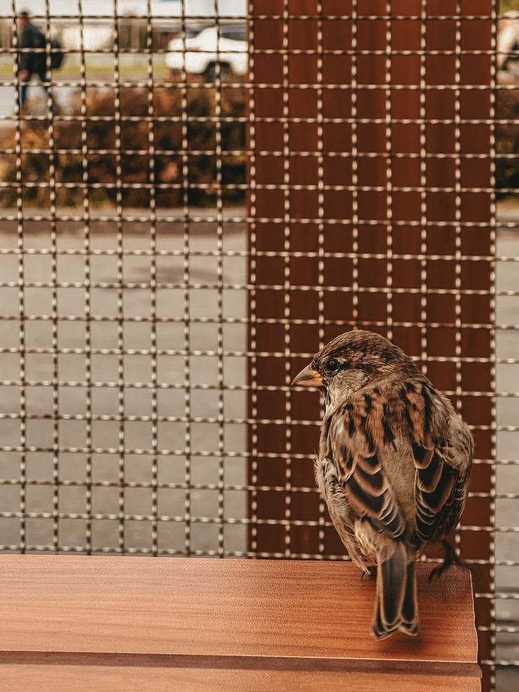 Photograph by Ксения Гулькова