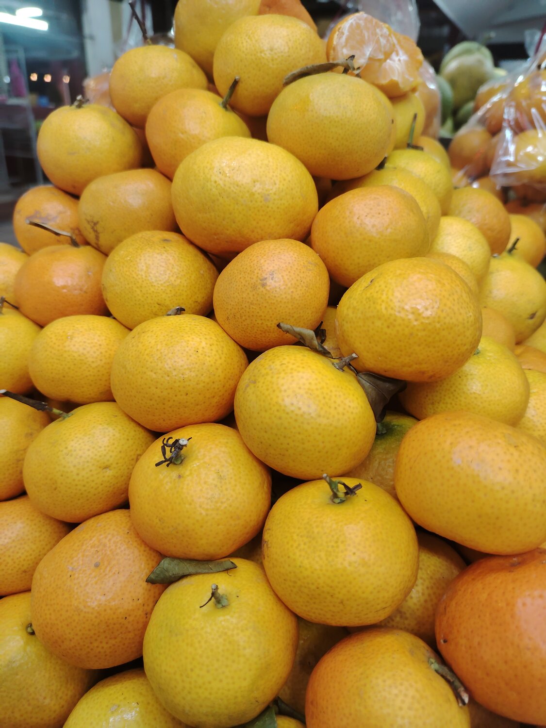 Photo #13701386
