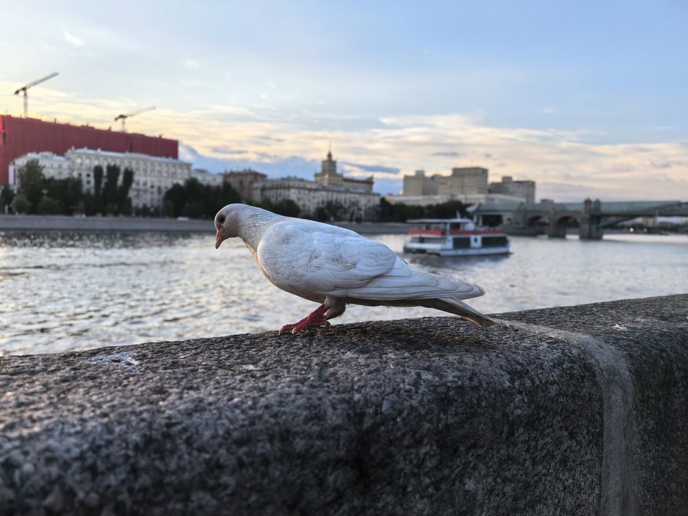 Photograph by Александр Порохов