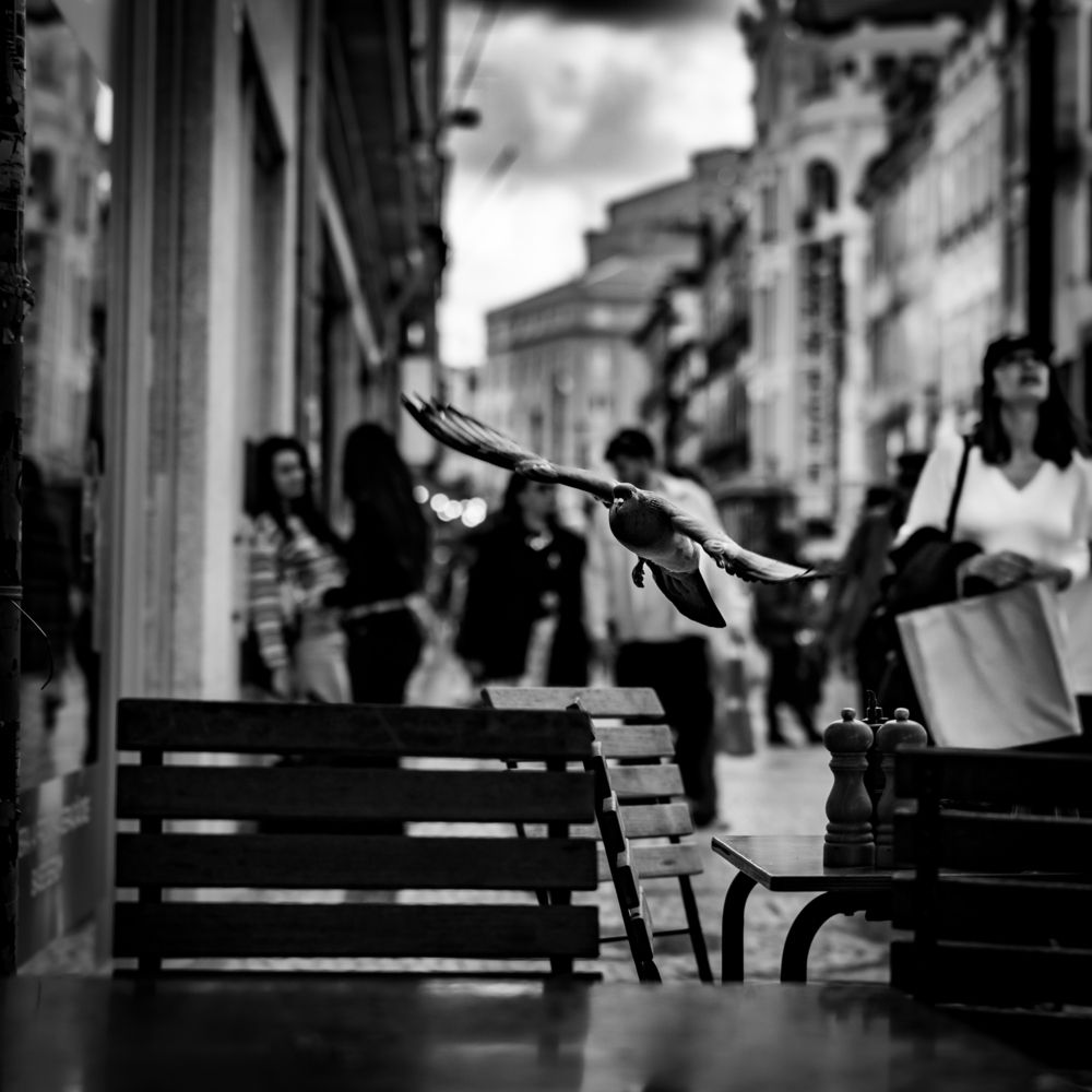 Photograph by Hicham Chraibi