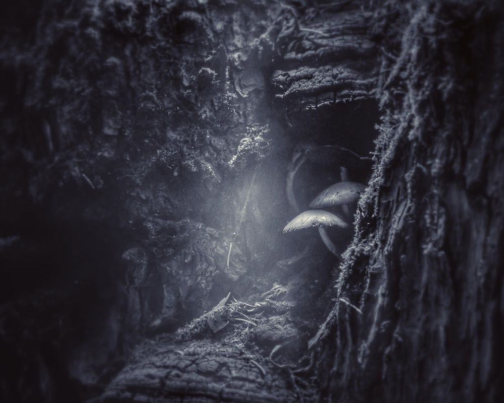 Photograph by Юрий Морозов