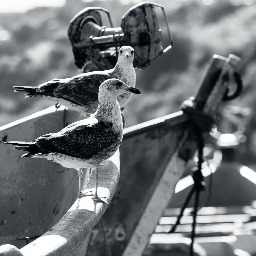 Photograph by Hicham Chraibi