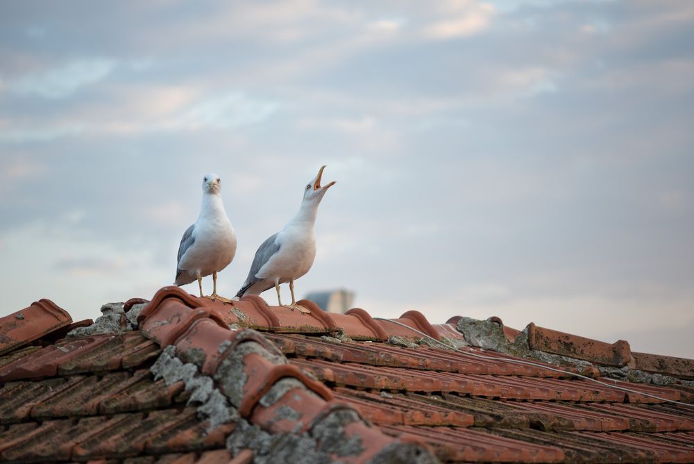 Photograph by Рагинская Ольга