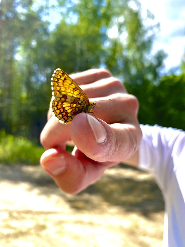 Photograph by Дарья Антоновна