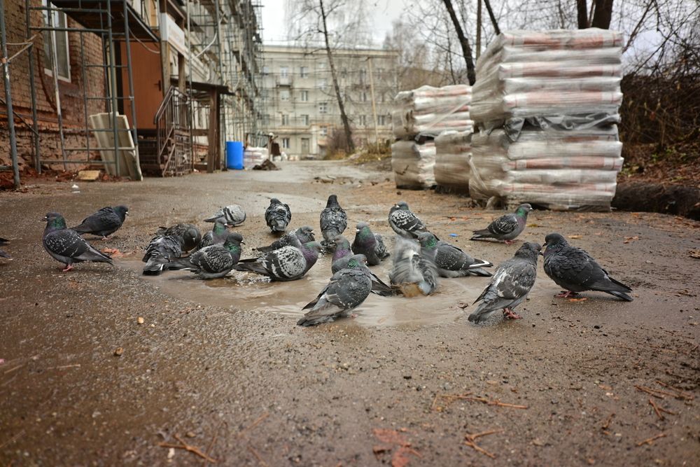 Photograph by Владислав Левашов