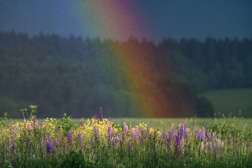 Photograph by Неустроев Олег