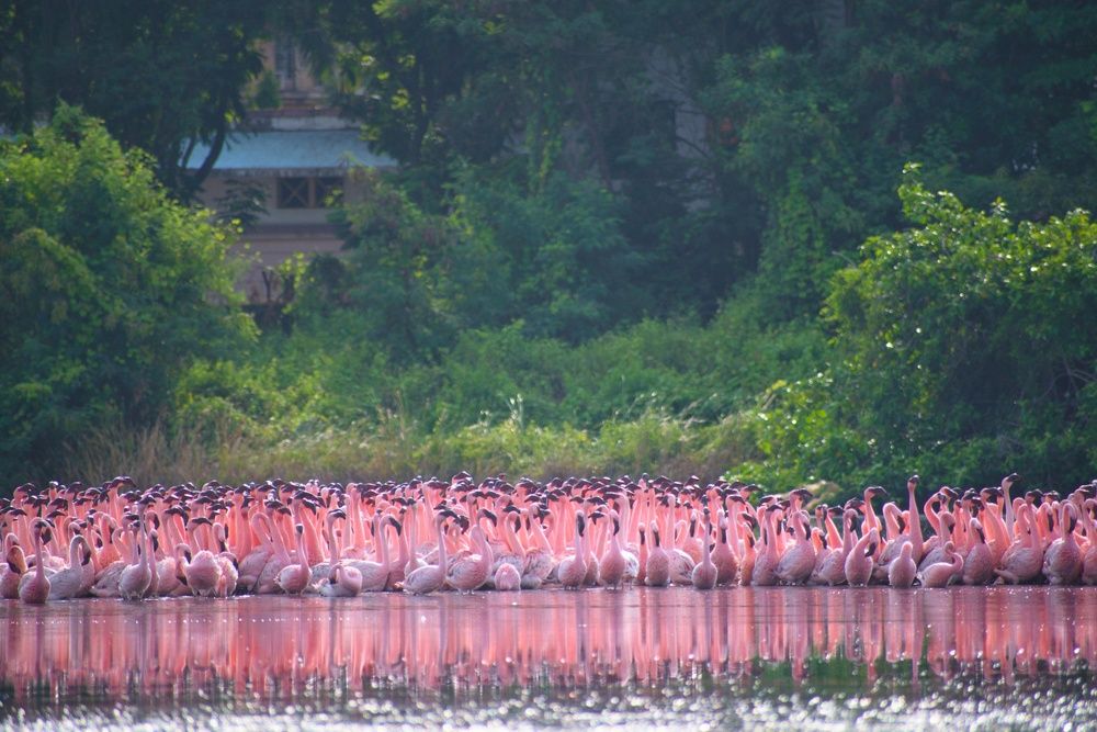 Photograph by Jigar Chauhan