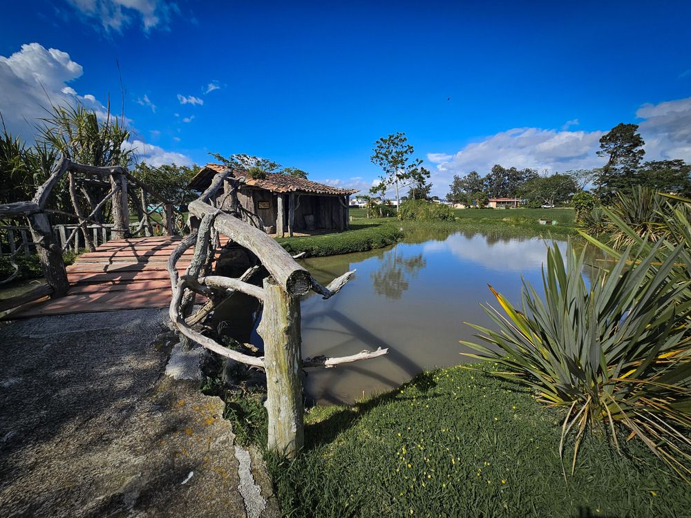 Photograph by Mauricio Mora Flores