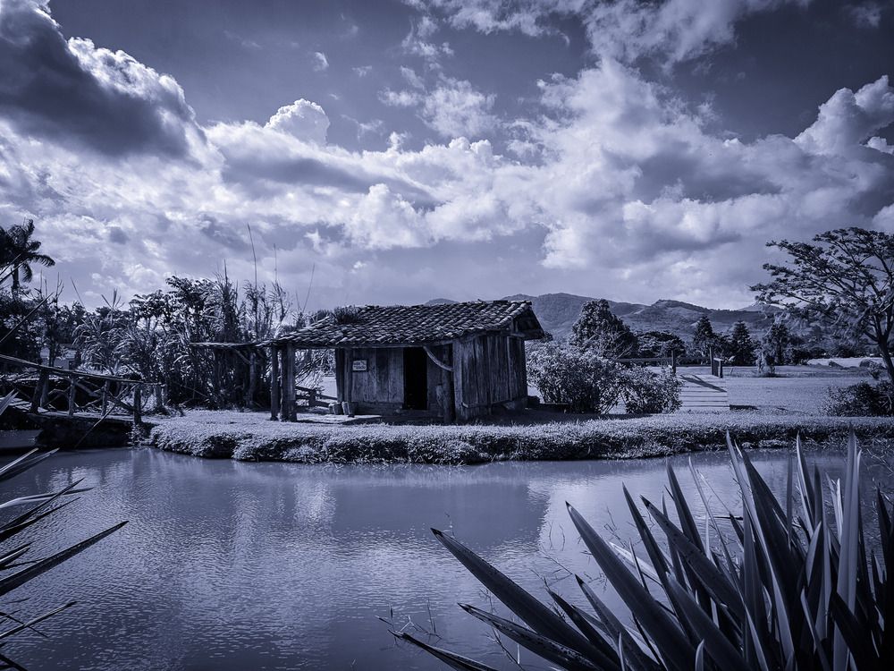 Photograph by Mauricio Mora Flores