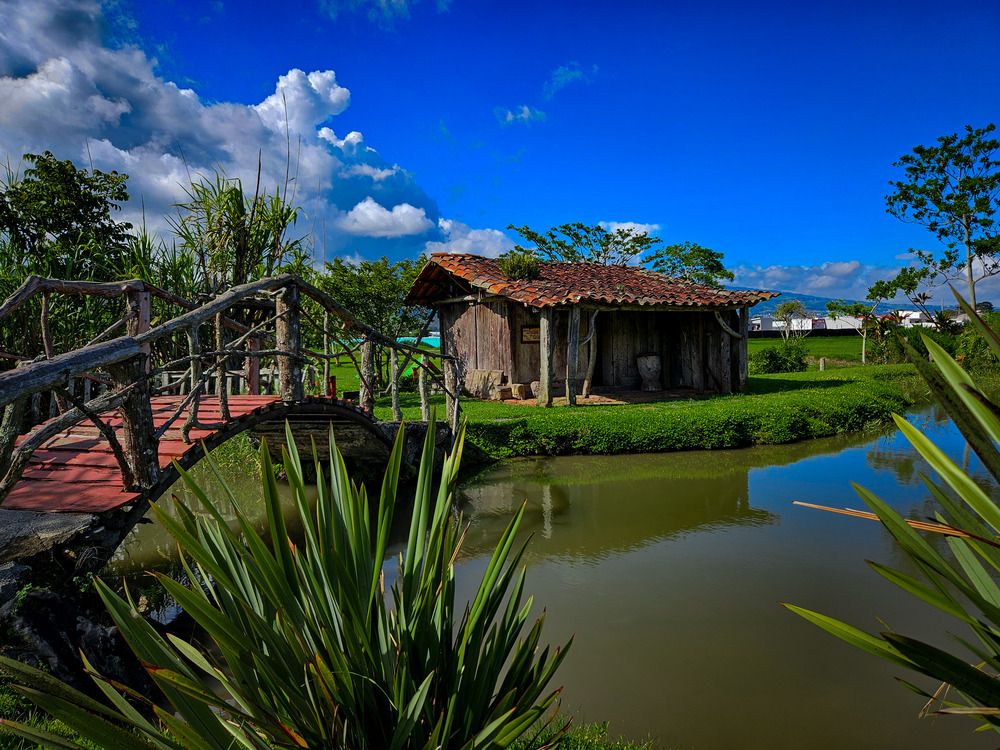 Photograph by Mauricio Mora Flores