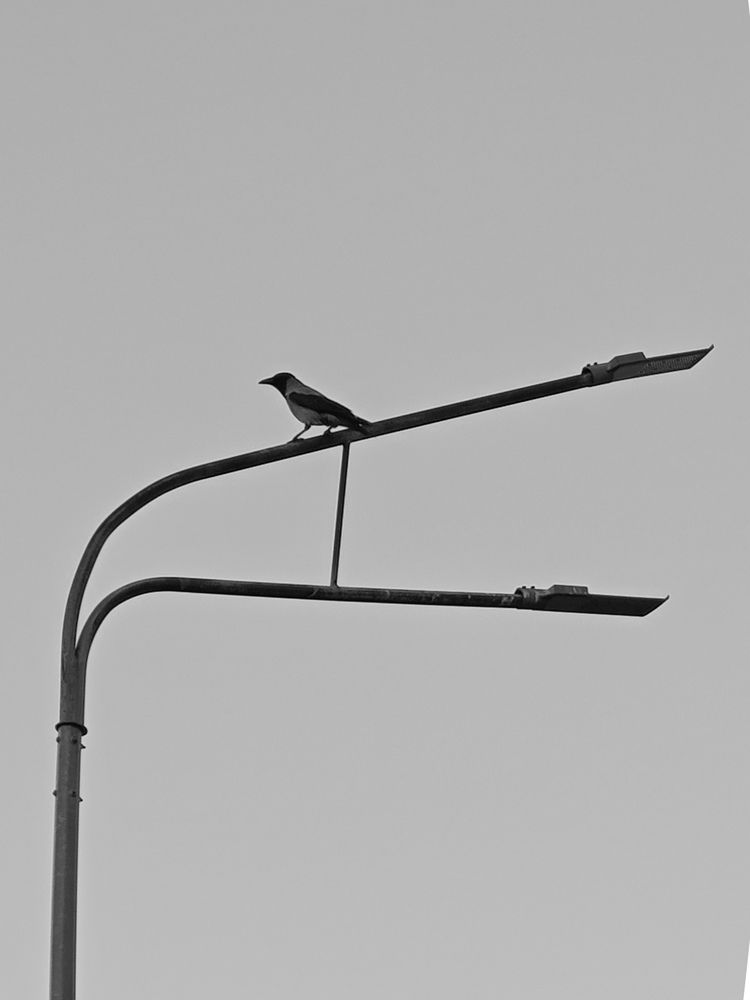 Photograph by Людмила Сарыцина