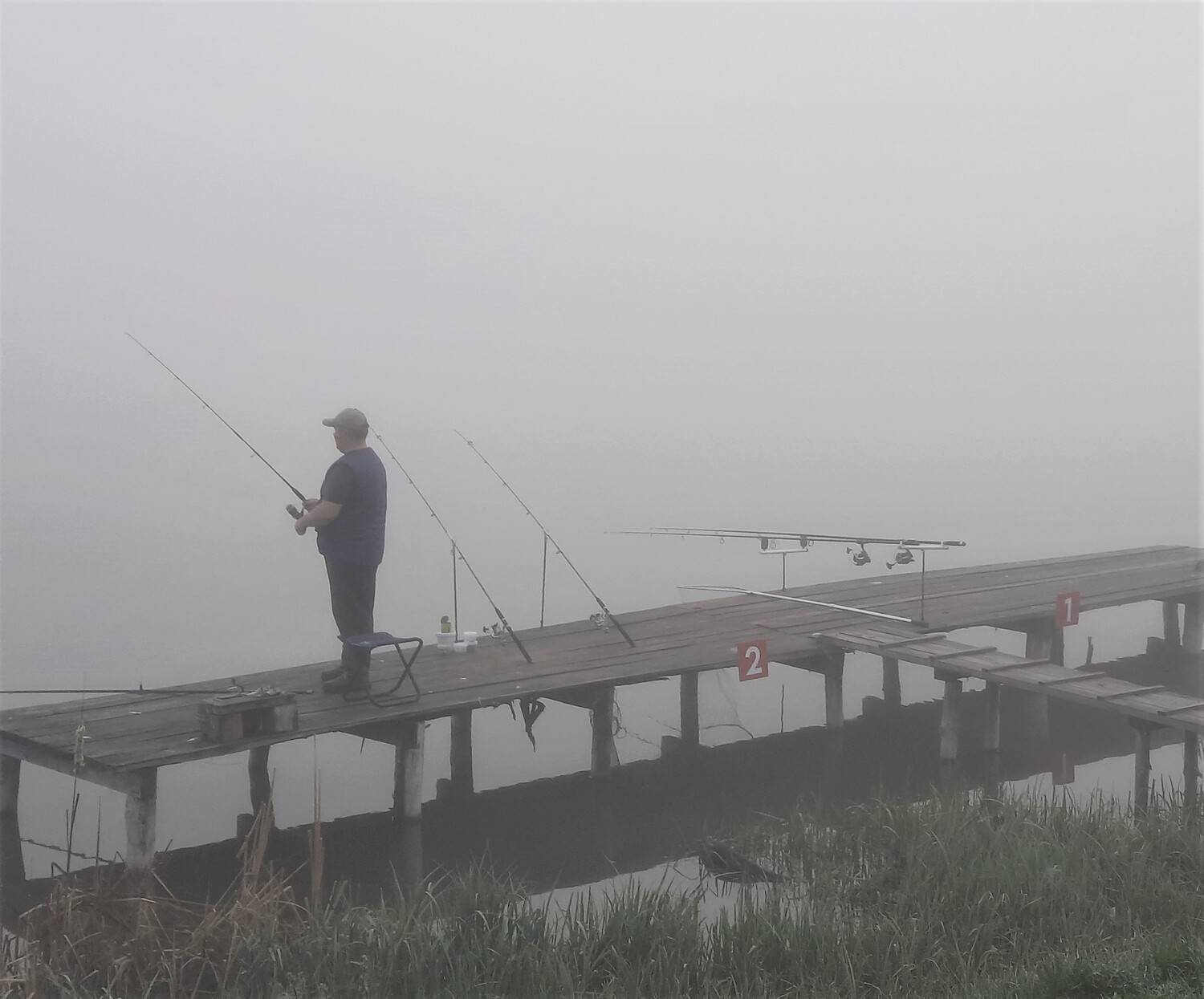 Photo #13701784