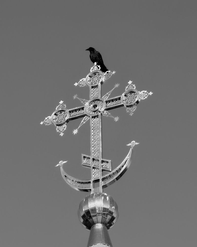Photograph by Марина Сальникова
