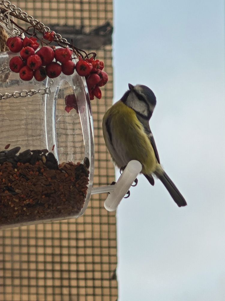 Photograph by Людмила Сарыцина