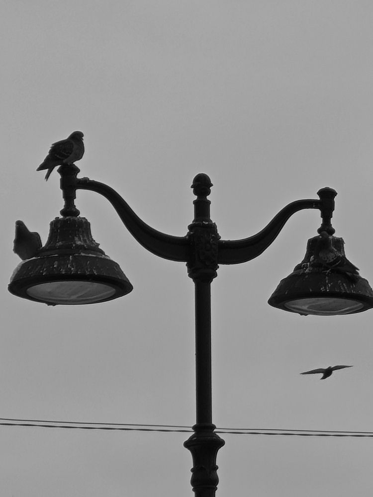 Photograph by Людмила Сарыцина