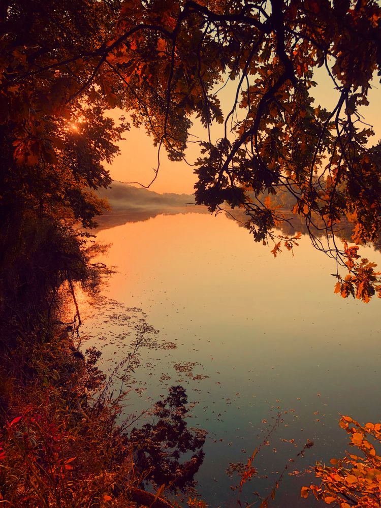 Photograph by Антонина Туркулец