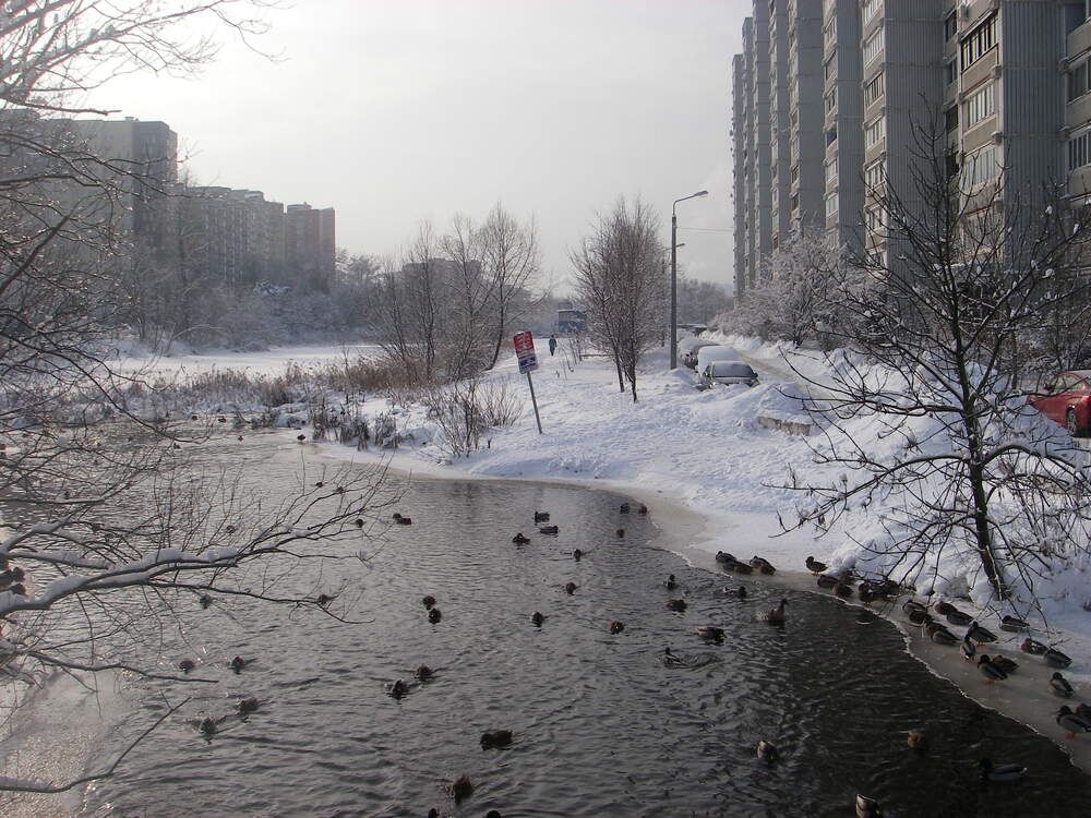 Photograph by Анатолий Чарушин