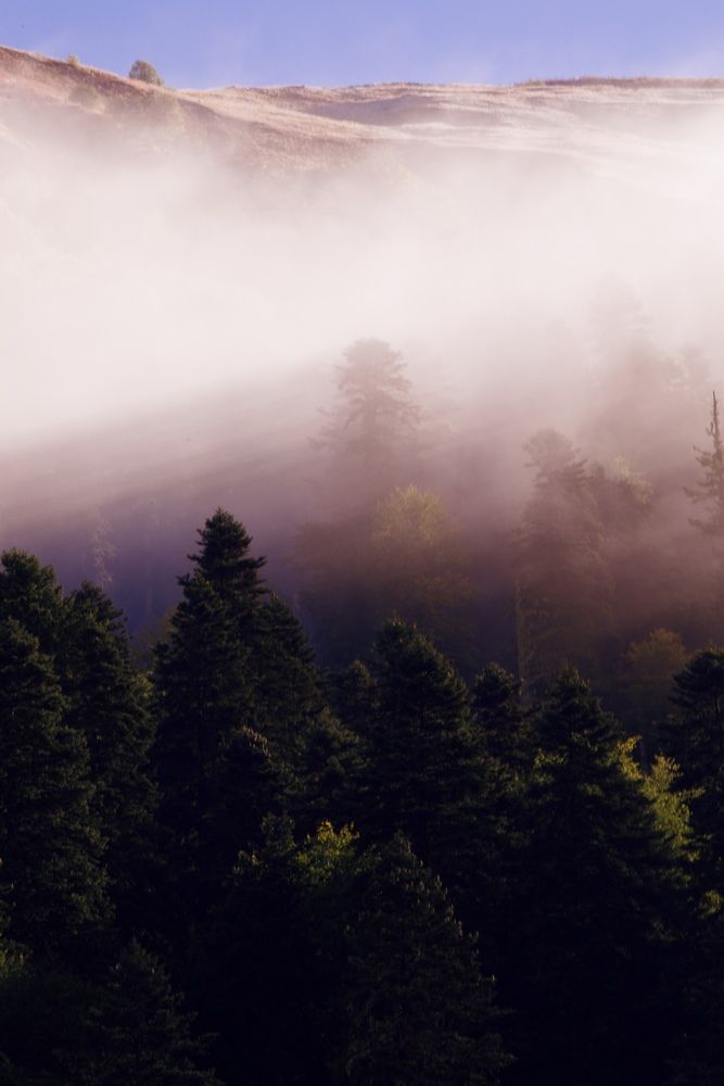 Photograph by Антонина Туркулец